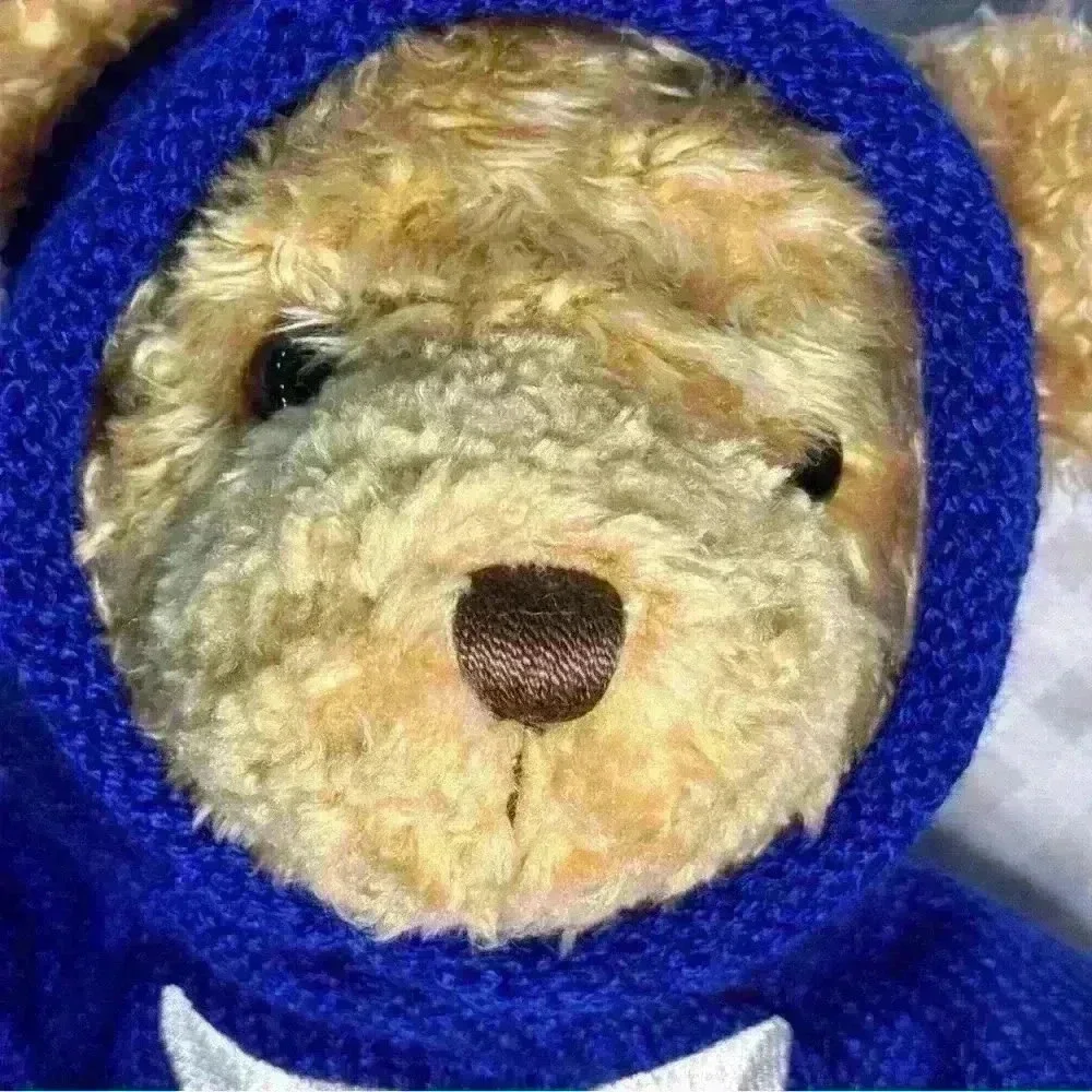 Vintage Gund Millennium Peace Teddy Bear 1999 Large Plush with Blue Sweater 25